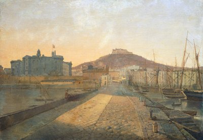 Veduta della Certosa di San Martino e della Fortezza di Sant