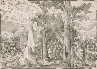 Paesaggio con scene della vita di San Giovanni Battista da Frans Crabbe van Espleghem