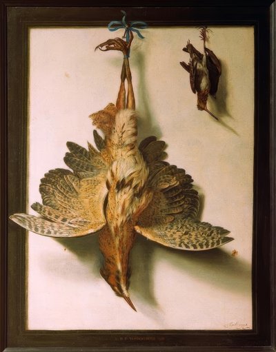 Trompe d’oeil con uccelli morti da Frans Cuyck van Meyerop