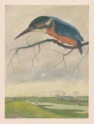 Martin pescatore su un ramo in un paesaggio di prateria da Frans Everbag (signed by artist)