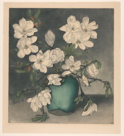 Rami di magnolia da Frans Everbag (signed by artist)