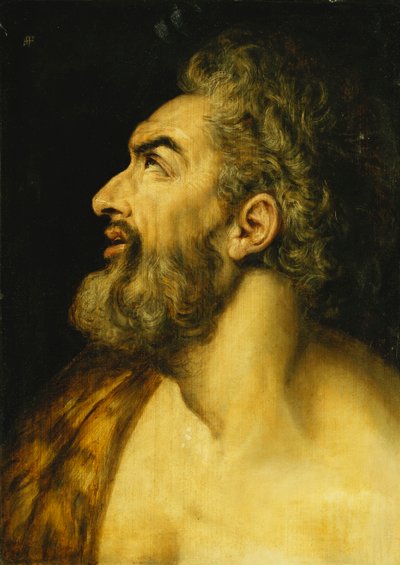 Testa di San Giovanni Battista da Frans Floris
