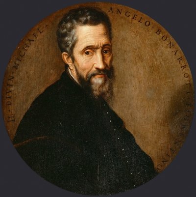 Michelangelo Buonarroti detto Michelangelo da Frans Floris