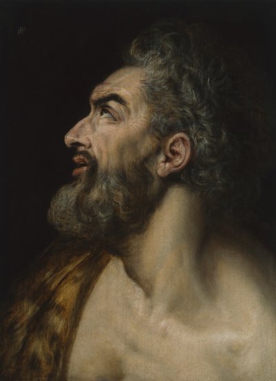Testa di studio di un uomo con la barba, c.1565 da Frans Floris