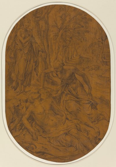 Diana ed Endimione da Frans Floris I