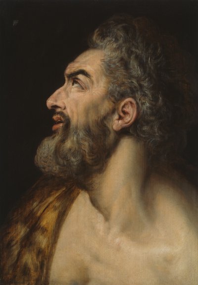 Studio Testa di uomo barbuto da Frans Floris I