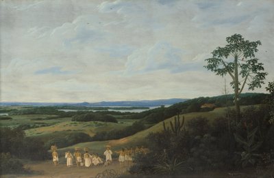 Paesaggio brasiliano da Frans Post