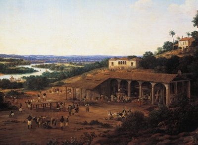 Mulini da zucchero in Brasile, di Frans Post (1612-1680) da Frans Post