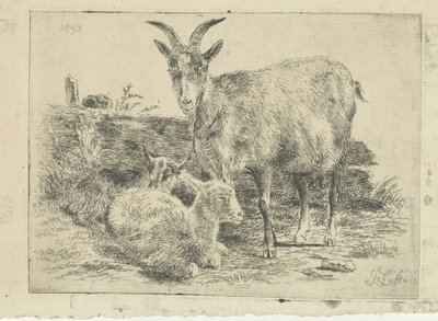 Capra con cuccioli da Frans Lebret