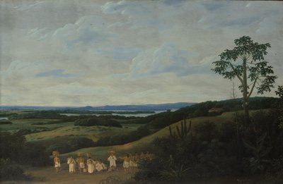 Paesaggio brasiliano da Frans Post