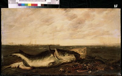 Pesce e aragosta sulla spiaggia da Frans Ryckhals