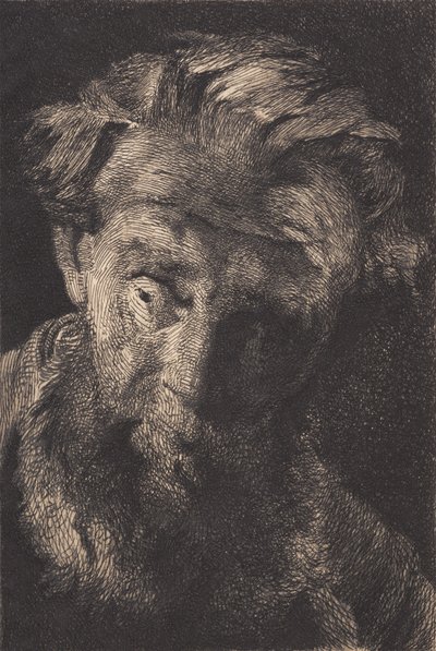 Vecchio barbuto che guarda di lato da Frans Schwartz