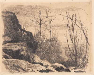 Tavola di prova: Paesaggio con rocce e alberi da Frans Schwartz