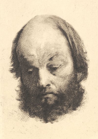 Uomo con barba nera, Garibaldi da Frans Schwartz