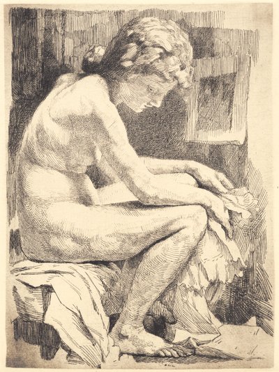 Giovane donna nuda, seduta da Frans Schwartz