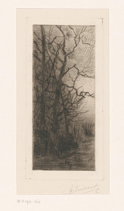 Alberi sull