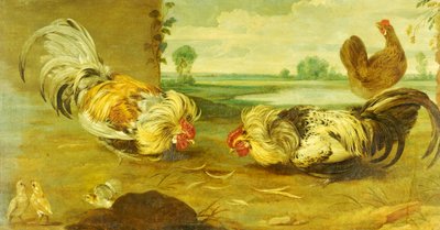 Un combattimento di galli da Frans Snyders or Snijders