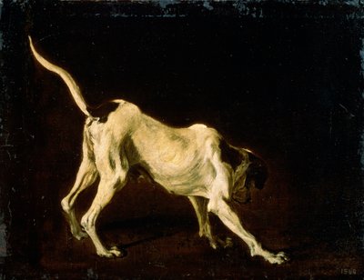 Un cane, XVII secolo da Frans Snyders or Snijders