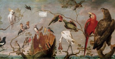 Concerto di uccelli Dipinto di Frans Snyders (Snijders) (1579-1657) XVII secolo Madrid, Museo del Prado da Frans Snyders