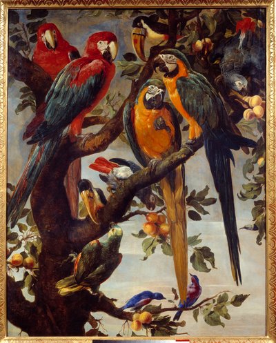 Pappagalli e altri uccelli da Frans Snyders