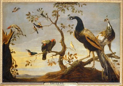 Posizioni su rami ... da Frans Snyders