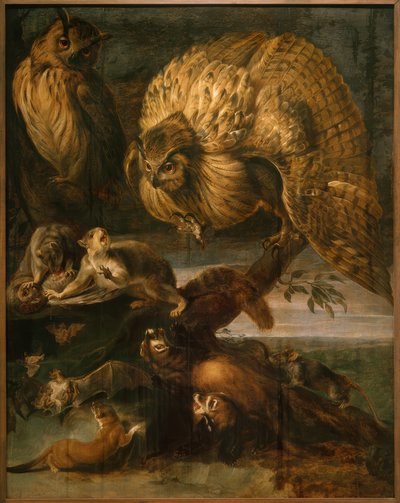 Animali della notte da Frans Snyders