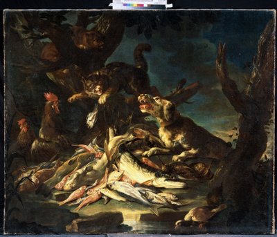 Pesci da Frans Snyders or Snijders