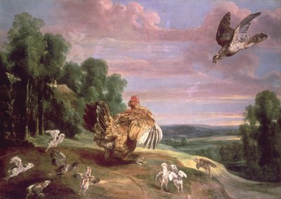 Il falco e la gallina da Frans Snyders or Snijders