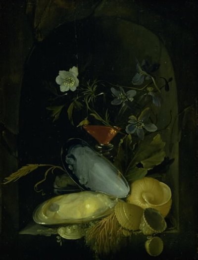 Natura morta con conchiglie e anemoni blu da Frans van I Mieris