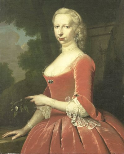 Ritratto di una donna da Frans van der Mijn