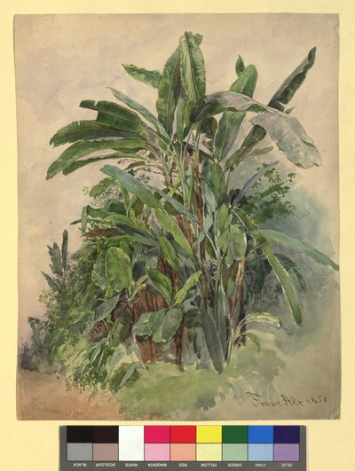  da Franz Alt