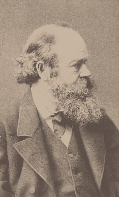 Ritratto del compositore Robert von Hornstein 1833-1890 da Franz Hanfstaengl
