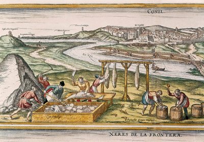Conil de la Frontera, i pescatori asciugano il pesce, lo tagliano, lo vendono e lo confezionano in barili per la vendita, da "Civitatis Orbis Terrarum" da Franz Hogenberg