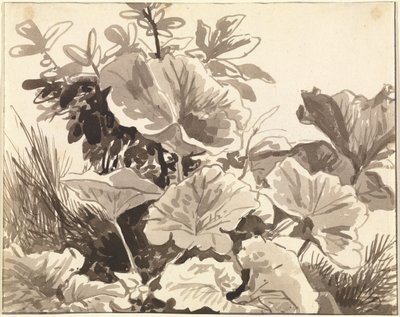 Studio delle foglie di piantaggine da Franz Innocenz Kobell