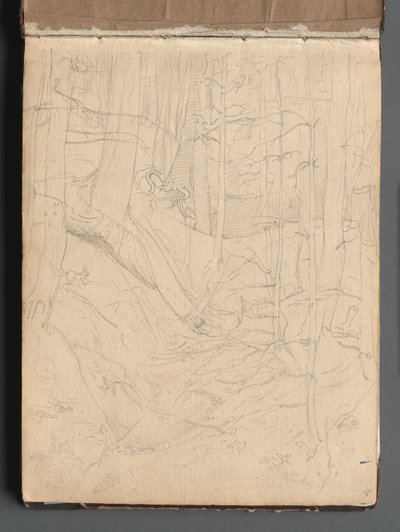 Album con vedute di Roma e dintorni, studi di paesaggio, pagina 01a: Paesaggio romano da Franz Johann Heinrich Nadorp