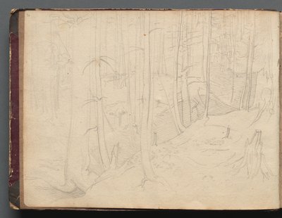 Album con Vedute di Roma e Dintorni, Studi di Paesaggio, pagina 01b: Paesaggio Romano da Franz Johann Heinrich Nadorp