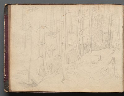 Album con vedute di Roma e dintorni, Studi sul paesaggio, pagina 01b: Paesaggio romano da Franz Johann Heinrich Nadorp