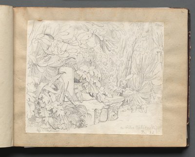 Album con Vedute di Roma e Dintorni, Studi di Paesaggio, pagina 03a: In Villa Walkonsky da Franz Johann Heinrich Nadorp