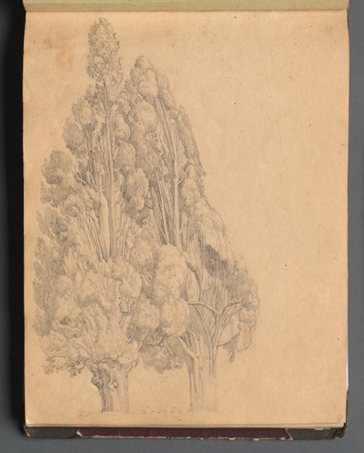 Alberi da Franz Johann Heinrich Nadorp