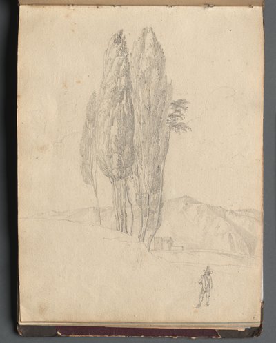 Alberi da Franz Johann Heinrich Nadorp
