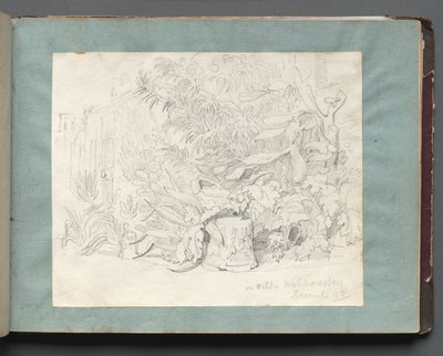 Album con vedute di Roma e dintorni, studi di paesaggio, pagina 24a: In Villa Walkonsky da Franz Johann Heinrich Nadorp