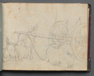 Buoi e carro da Franz Johann Heinrich Nadorp