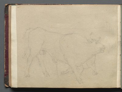 Album con vedute di Roma e dintorni, studi di paesaggio, pagina 51b: Studio di un toro da Franz Johann Heinrich Nadorp