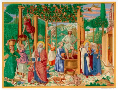 La vendemmia e l