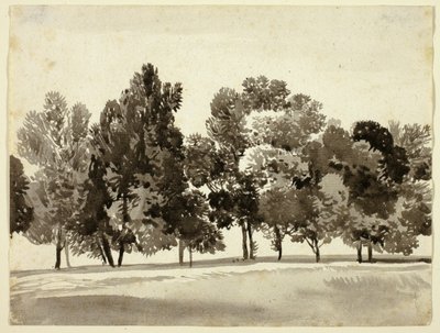Boschetto di alberi frondosi da Franz Kobell