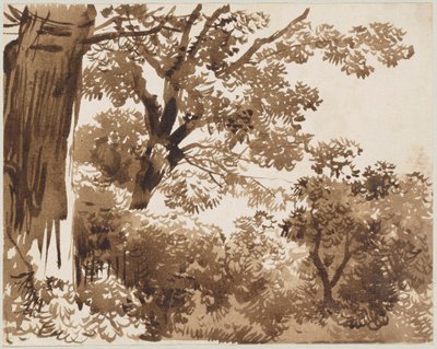 Nel bosco da Franz Kobell