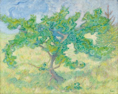 Piccola quercia da Franz Marc
