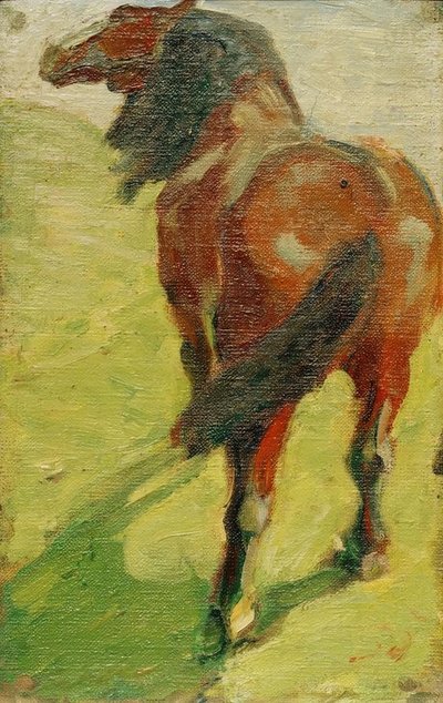 Studio di un cavallo da Franz Marc