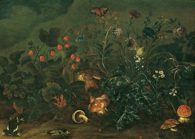 Prato con fragole e grillo da Franz Michael Siegmund von Purgau d. Ä.