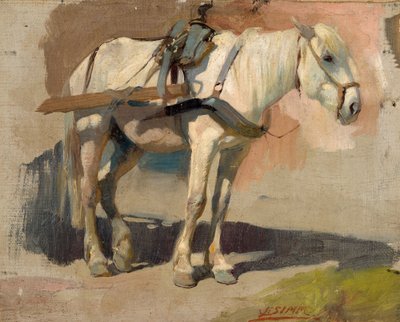 Cavallo bianco imbrigliato da Franz Xaver Simm